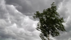 O'zbekistonda ob-havo sharoiti o'zgaruvchan kechishi kutilmoqda