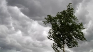 O'zbekistonda ob-havo sharoiti o'zgaruvchan kechishi kutilmoqda