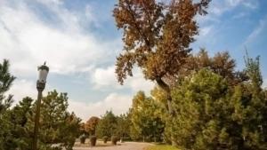 No precipitation in Uzbekistan on September 27-28