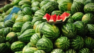 В столице распространились ложные сообщения о отравлении дыней