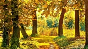 On October 27, the weather in Uzbekistan will be variable