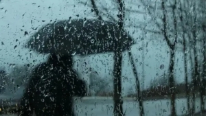 O'zbekistonda bahoriy salqin ob-havo kutilmoqda