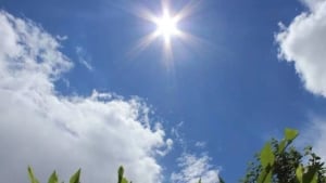 The wind and hot weather will intensify in Uzbekistan