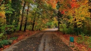 В выходные ожидается похолодание