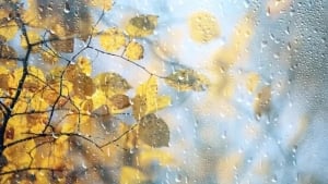 5-dekabr: O‘zbekistonda ob-havo o‘zgaruvchan bo‘ladi