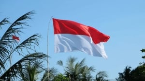 Indoneziya Ukrainaga tinchlik missiyasi yuborishga tayyor