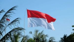 Indonesia is ready to send a peace mission to Ukraine