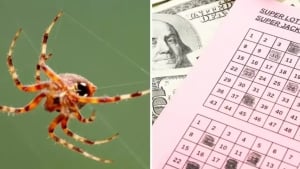 Chelyabinskda zavodchi 100 million rubl yutdi