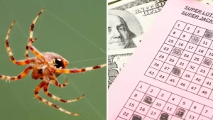 Chelyabinskda zavodchi 100 million rubl yutdi