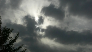 Weather change and temperature drop expected in Uzbekistan mid-week