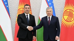 Central Asian leaders discussed cooperation in Tashkent