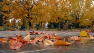 November 7: Warm weather without precipitation expected in Uzbekistan