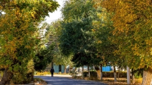 9-noyabr: O‘zbekistonda havo ochiq, tuman ehtimoli bor