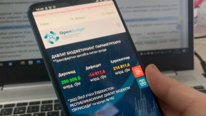 The 2026 "Initiative Budget" begins on February 1