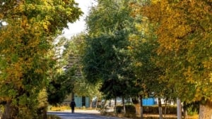 Hafta davomida ob-havo barqaror, yog‘ingarchilik kutilmaydi