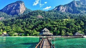 O‘zbekistonliklar Malayziyaga sayohatni ko‘paytirdi