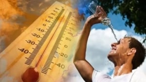 28 avgustda O‘zbekistonda issiq va quruq ob-havo