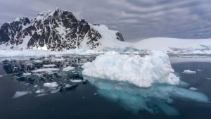 Antarktida muzlari qisqarishi global xavf tug‘dirmoqda