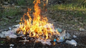 5,494 violations related to waste were identified in Tashkent