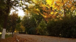 Ertaga O‘zbekistonda ob-havo barqaror bo‘ladi