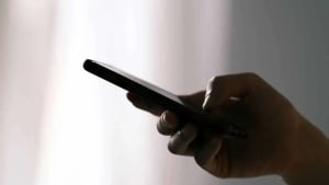 A special Telegram bot against cybercrimes launched