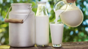 Uzbekistan will further expand international cooperation in the development of the dairy industry