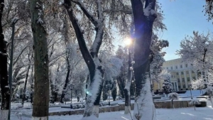 January 26: Overcast, cold, and frosty in Uzbekistan