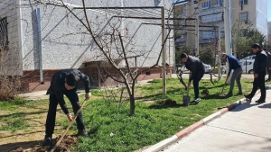 The Young Ecologist Badge was established in Uzbekistan.