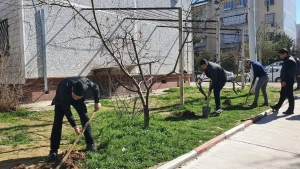 В Узбекистане учреждена нагрудная медаль «Молодой эколог»