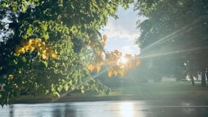 В выходные ожидается теплая и солнечная погода