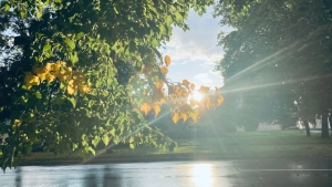 Warm and sunny weather is expected on the weekend