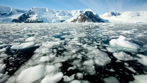 Sea ice in Antarctica has decreased to a record low