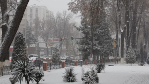 On December 8, cold and humid weather is expected in Uzbekistan