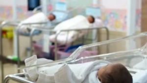 Olmaotada chaqaloqlar savdosi bilan shug‘ullangan guruh fosh etildi