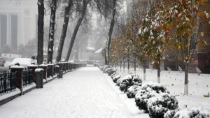 14-15-dekabrda qor va yomg‘ir kutilmoqda