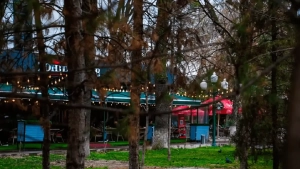 On September 2, wind will strengthen in Uzbekistan, no rain
