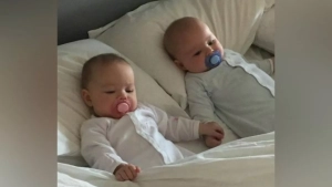 2025 год количество близнецов по регионам