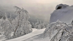 Cold weather and strong winds are expected on December 8–10