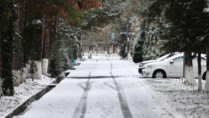 12-15 декабря ожидаются дождь и туман