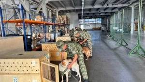South Korea has purchased six service dogs from Uzbekistan