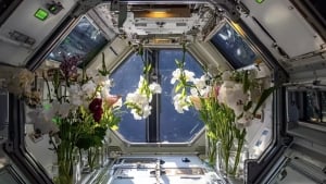 Chinese Astronauts Achieve Historic Oxygen and Ethylene Production in Space