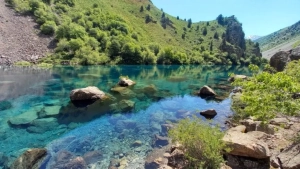 Uzbekistan joined the Water and Health Protocol