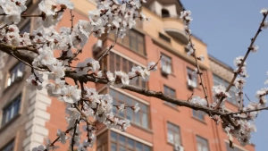 O‘zbekistonda uch aprel kuni ob havo sharoiti turlicha bo‘ladi