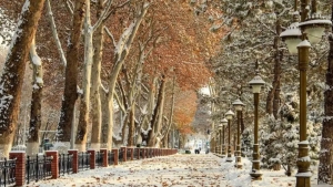 In Uzbekistan, the weather today is variable, fog is expected.