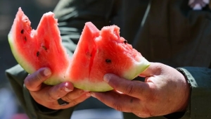 A false rumor about poisoning with melon has been spread