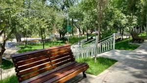 12 avgustda shamol kuchayib, chang-to‘zon bo‘ladi