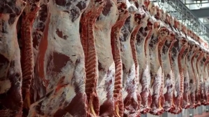 Meat prices remain high in Kazakhstan due to exports
