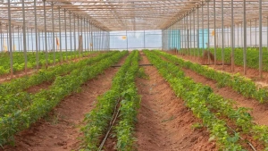 Greenhouse gas emissions in Uzbekistan have been limited