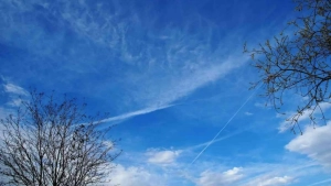 Mostly dry weather expected in Uzbekistan over the weekend