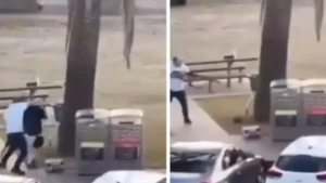 Armed attack in Sydney: 12 people killed